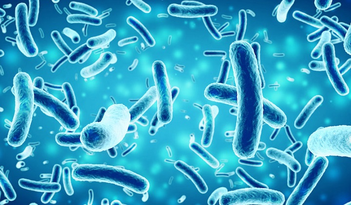 Driving Bacteria to Produce Potential Antibiotic, Antiparasitic Compounds
