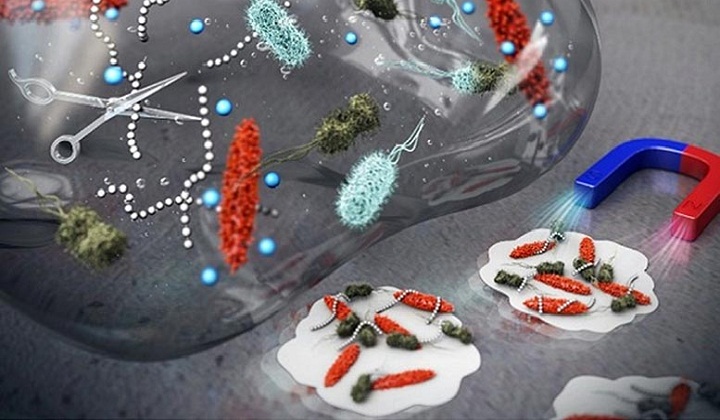 Nanocrystals with Unique Surface Texture That Eradicates Bacteria Biofilm