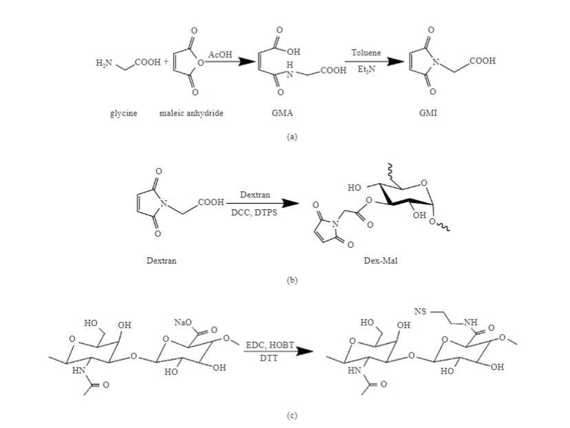 Studies of a Biocompatible Maleimide-Modified Dextran and Hyaluronic Acid Hydrogel System