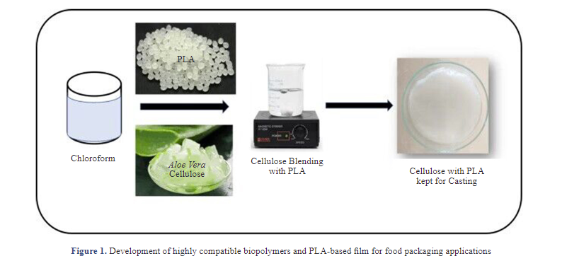 Poly (Lactic Acid) Cellulose Biocomposite Films as Potential Antimicrobial Food Packaging Material