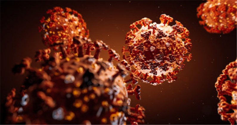 COVID-19 Coronavirus Epidemic Has A Natural Origin