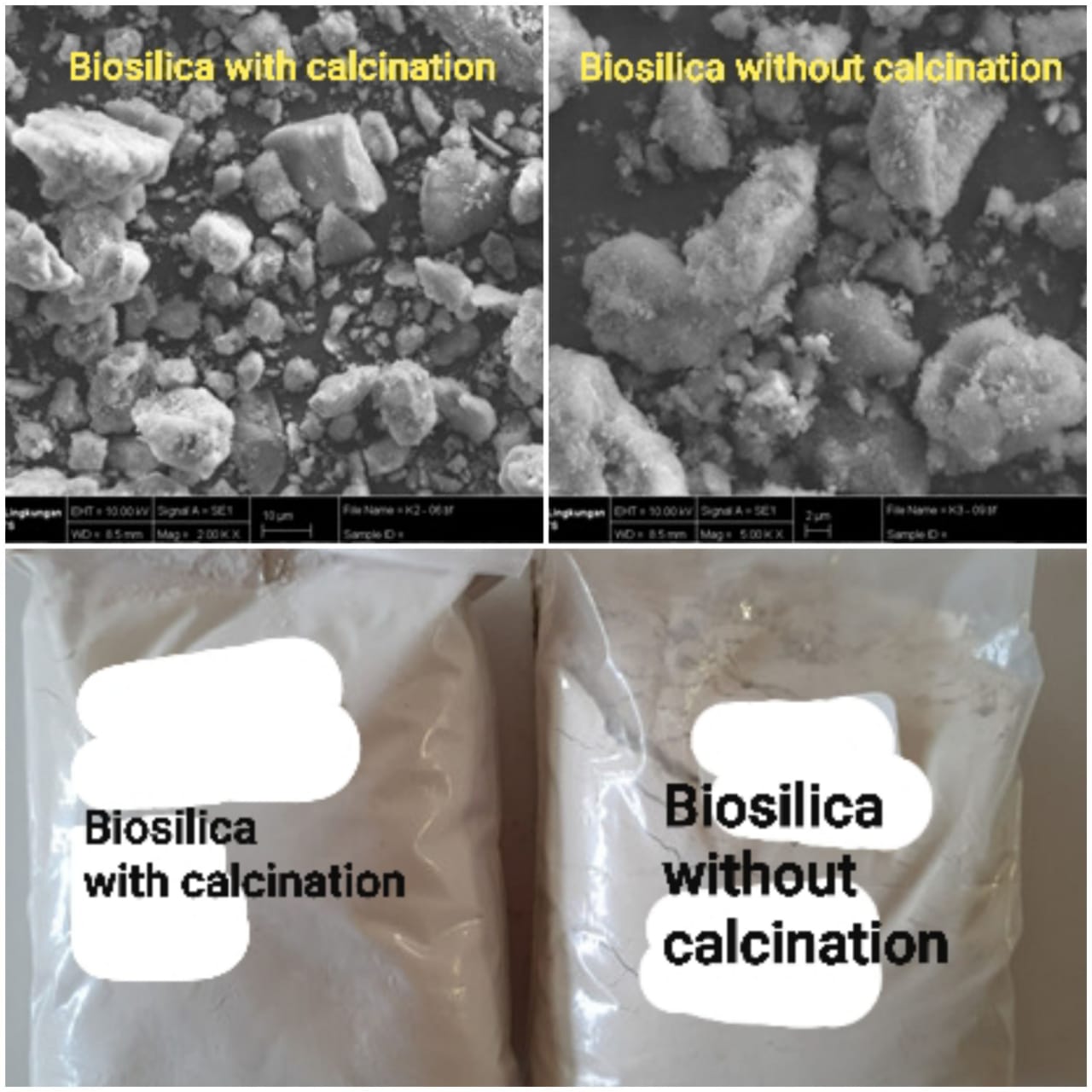 Synthesis and Characterization of Biosilica from Rice Husks as a Catalyst for the Production of Biodiesel