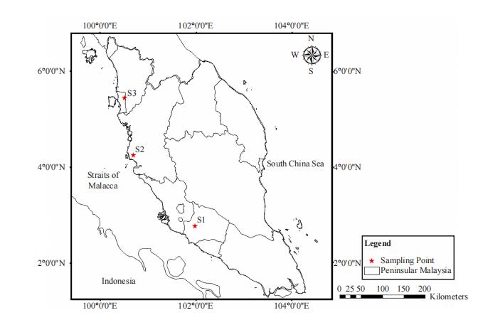 Human Health Risk Assessment of Some Selected Heavy Metals in Brassica rapa var. parachinensis in Peninsular Malaysia