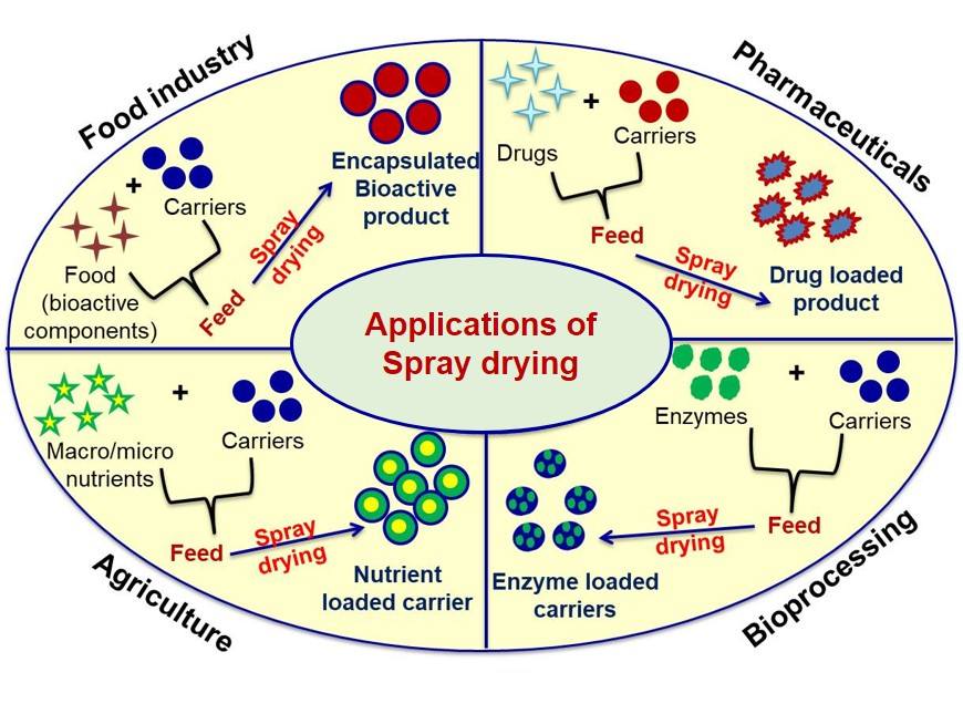 Applicability of Spray Drying Technique to Prepare Nano-Micro Carriers: A Review
