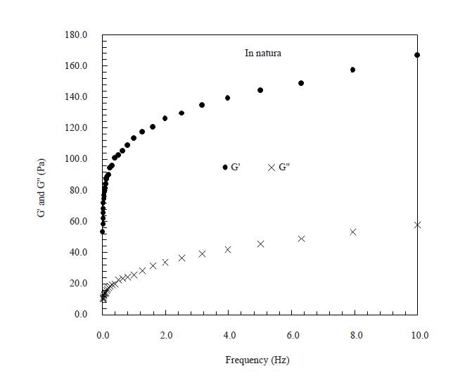 Effect of High-Pressure with Temperature on Mango Pulp: Rheology Evaluation in Comparison with Thermal Process