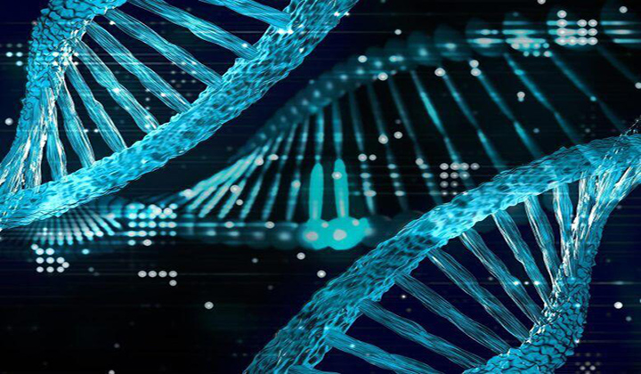 Revealing the Hidden Genome: Unknown DNA Sequences Identified That May Be Critical to Human Health