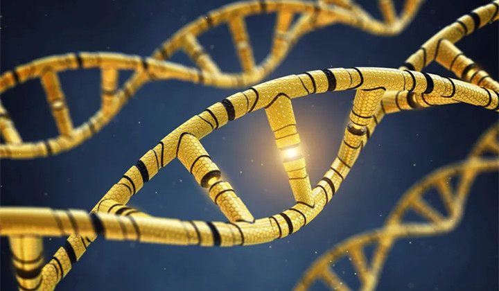 Scientists Show Transmission of Epigenetic Memory Across Multiple Generations