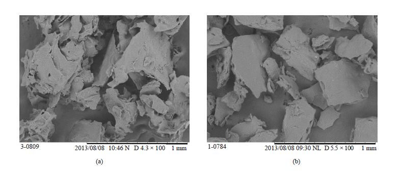 Production and Characterization of Dehydrated Acerola Pulp: A Comparative Study of Freeze and Refractance Window Drying