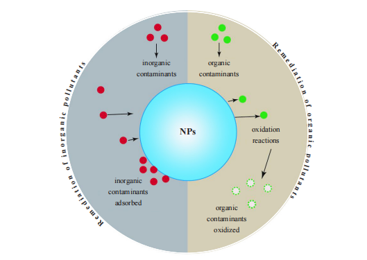 The Dual role of Nanomaterials in the Environment
