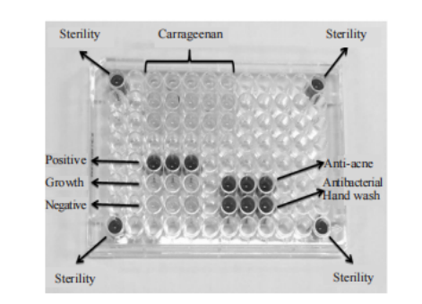 Analysis of Antimicrobial Activity of Carrageenan Extracted from  Kappaphycus Alvarezii
