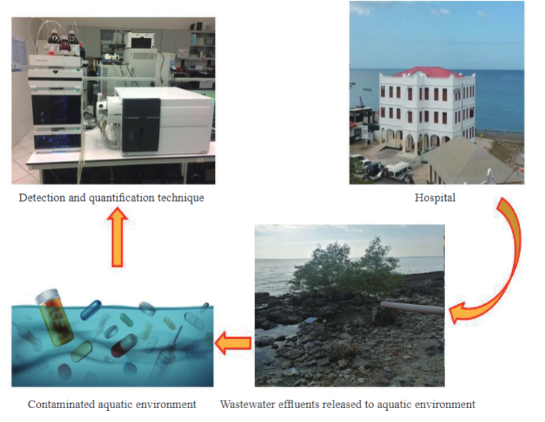 Prevalence and Detection of Pharmaceuticals in Hospital Wastewater: A Case of Referral and District Hospitals in Zanzibar
