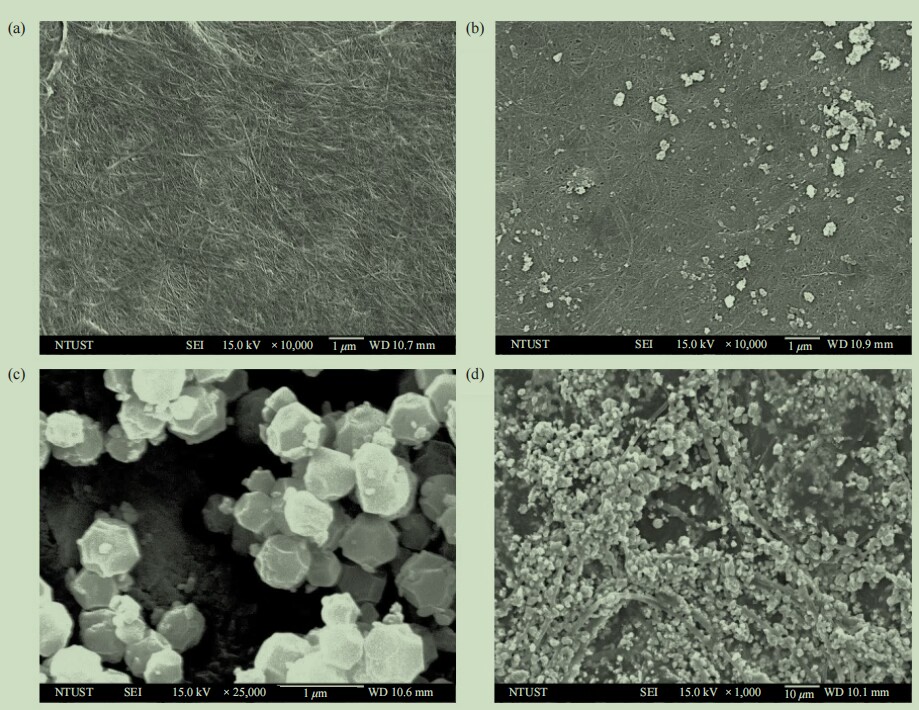 Synthesis of Novel Bacterial Cellulose Based Silver-Metal Organic Frameworks (BC@Ag-MOF) as Antibacterial Wound Healing