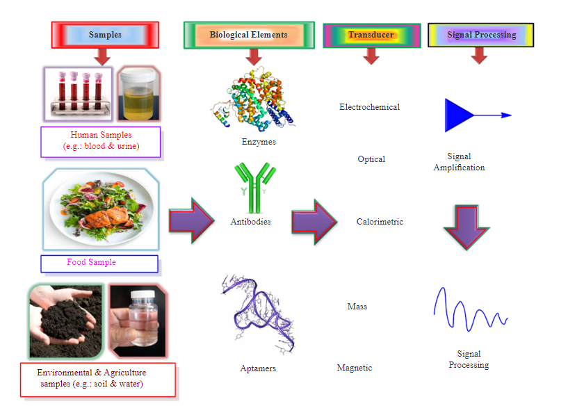 Biosensors for Carcinoembryonic Antigen Detection for Future Prospective: A Review