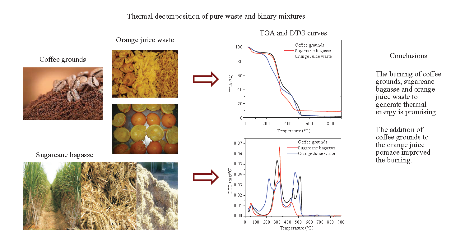 Thermal Decomposition of Pure Waste and Binary Mixtures