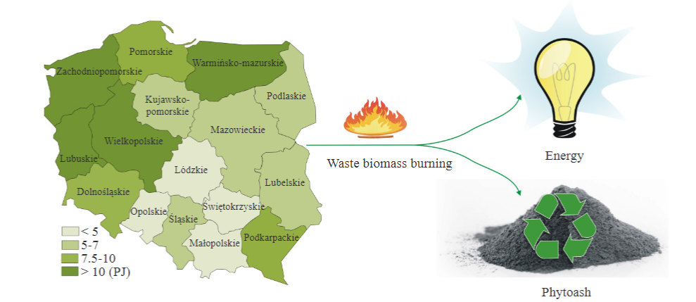 Management of Waste Wood in the Energy and Fertilizer Industries. Case Study of Poland