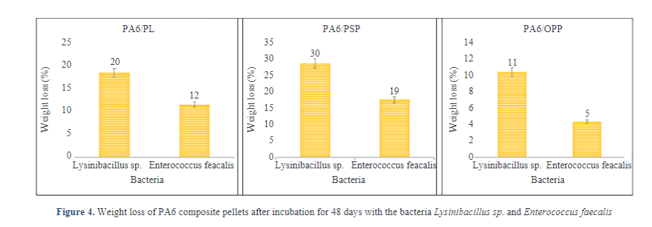 Performance of Bacteria Lysinibacillus and Enterococcus Faecalis to Degrade PA6 Composites