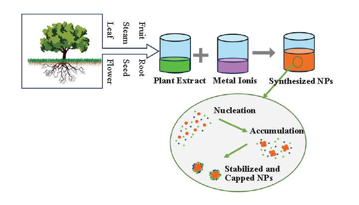 Sustainable Synthesis of Silver Nanoparticles Using Plant-Based Waste Biomass for the Removal of Cationic Dyes-A Review