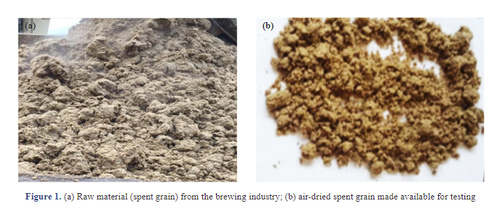 Organoenergetic Investigation on the Potential of Industrial Brewers' Spent Grain Valorization for Biogas Production