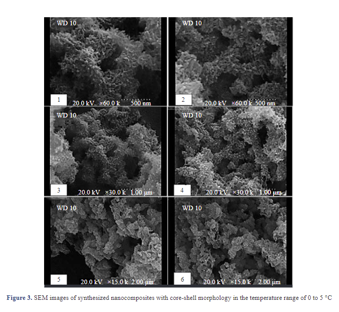 Preparation and Electrical Properties of Nanocomposite Based on Epoxy Resin and Core-Shell Polyaniline/Multi-Walled Carbon Nanotubes