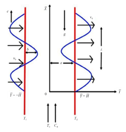 Peristaltic Transport of a Jeffrey Nanofluid in a Vertical Layer with Suction and Injection: Effect of Velocity No-Slip, Temperature and Concentration with Application