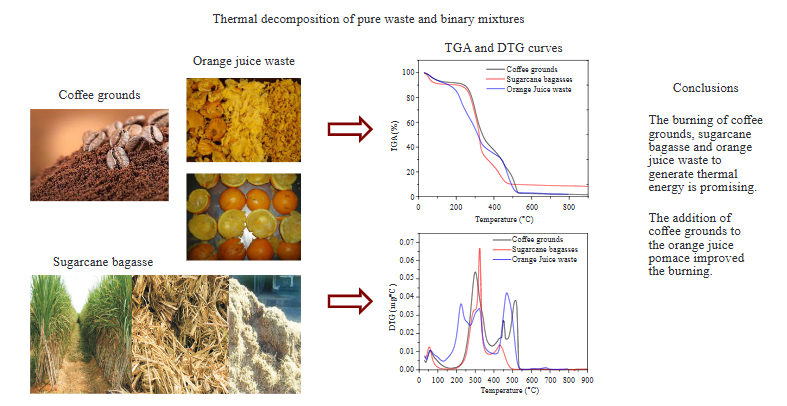 Thermal Decomposition of Pure Waste and Binary Mixtures