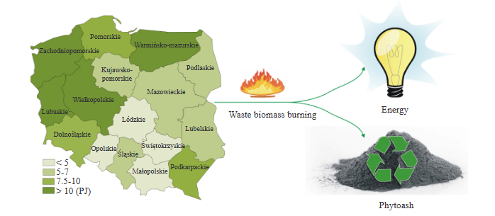 Management of Waste Wood in the Energy and Fertilizer Industries. Case Study of Poland