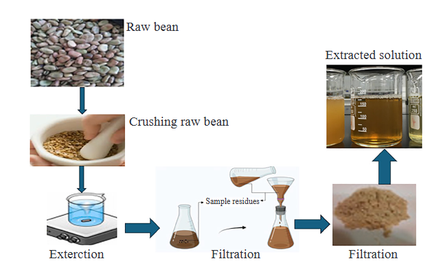 Innovative Salt-Free Reactive Dyeing of Cotton Using Cationization with Vicia Faba Bean Pod Waste