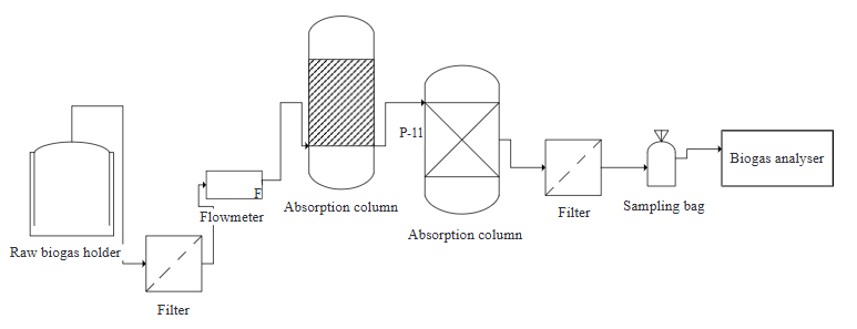 Enhanced Biogas Purification Using Low-Cost Adsorption and Absorption Techniques