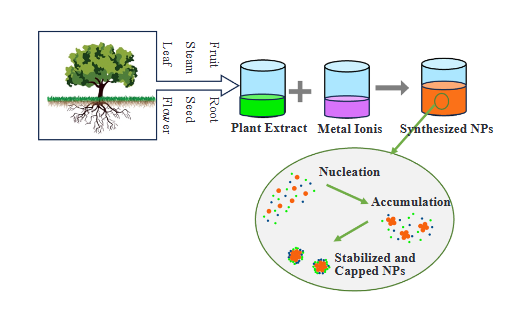 Sustainable Synthesis of Silver Nanoparticles Using Plant-Based Waste Biomass for the Removal of Cationic Dyes-A Review