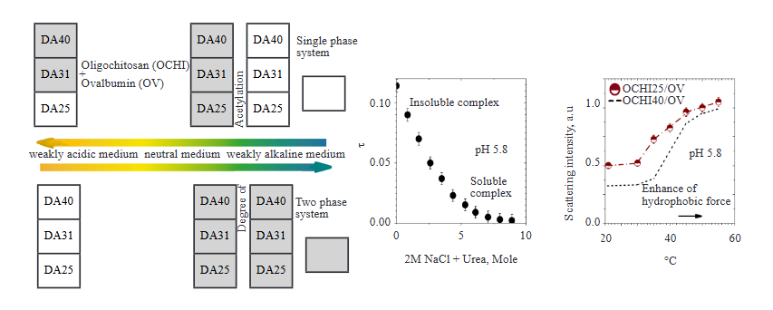 Binding and Specificity of Ovalbumin with Chitosan Derivatives Varying in Degree of Acetylation