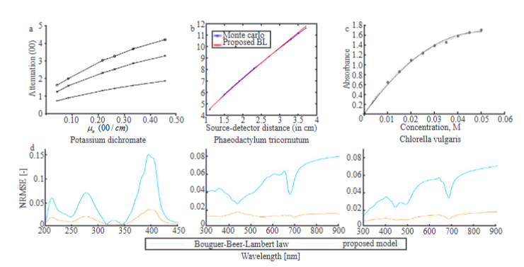 Insight into the Bouguer-Beer-Lambert Law: A review